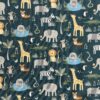 Safari